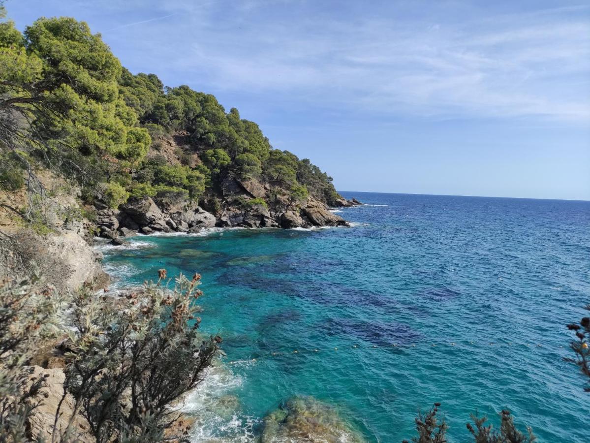 Ferienwohnung Vue Panoramique Exceptionnelle Le Lavandou Exterior foto